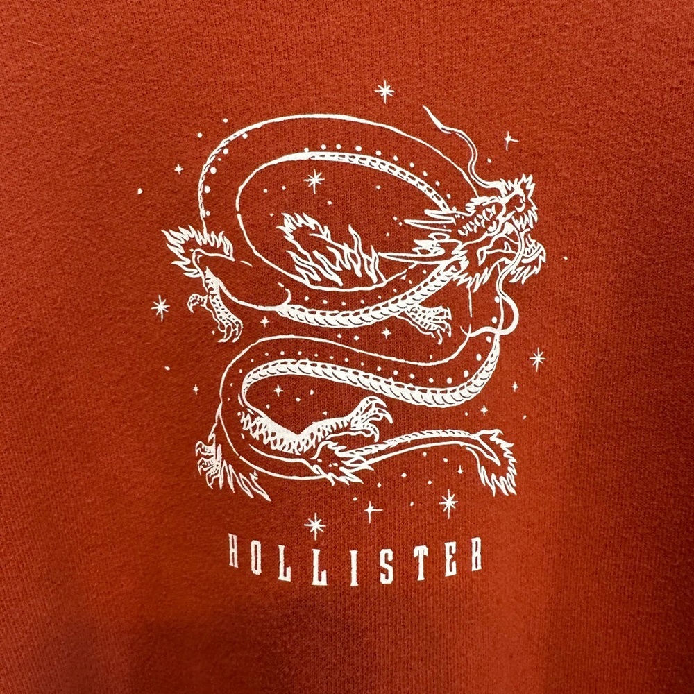 Hollister Women's Rust Y2K Revival Dragon Graphic Cropped Sweatshirt Small - Picture 6 of 8